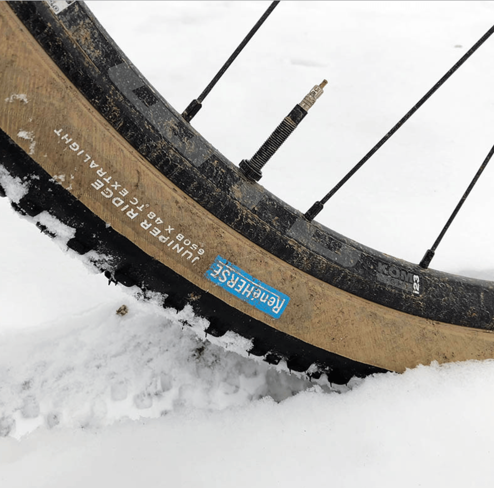 René HERSE Juniper Ridge Tire 650B x 48 TC | TacTac Cycling